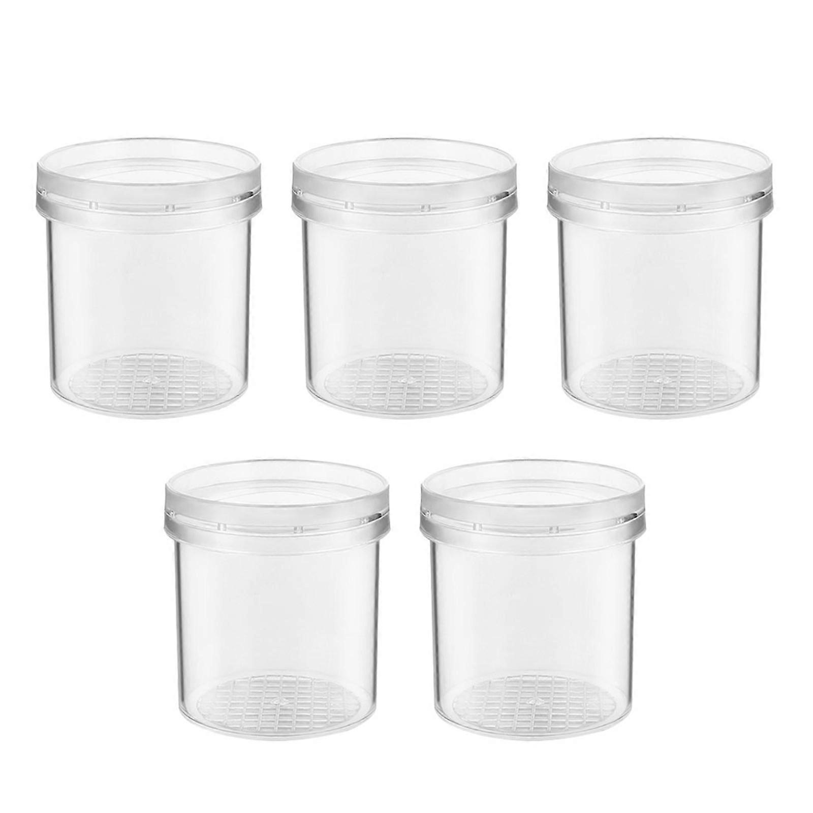 Magnifying Box Insect Viewer Container for Nature Exploration 10Pcs