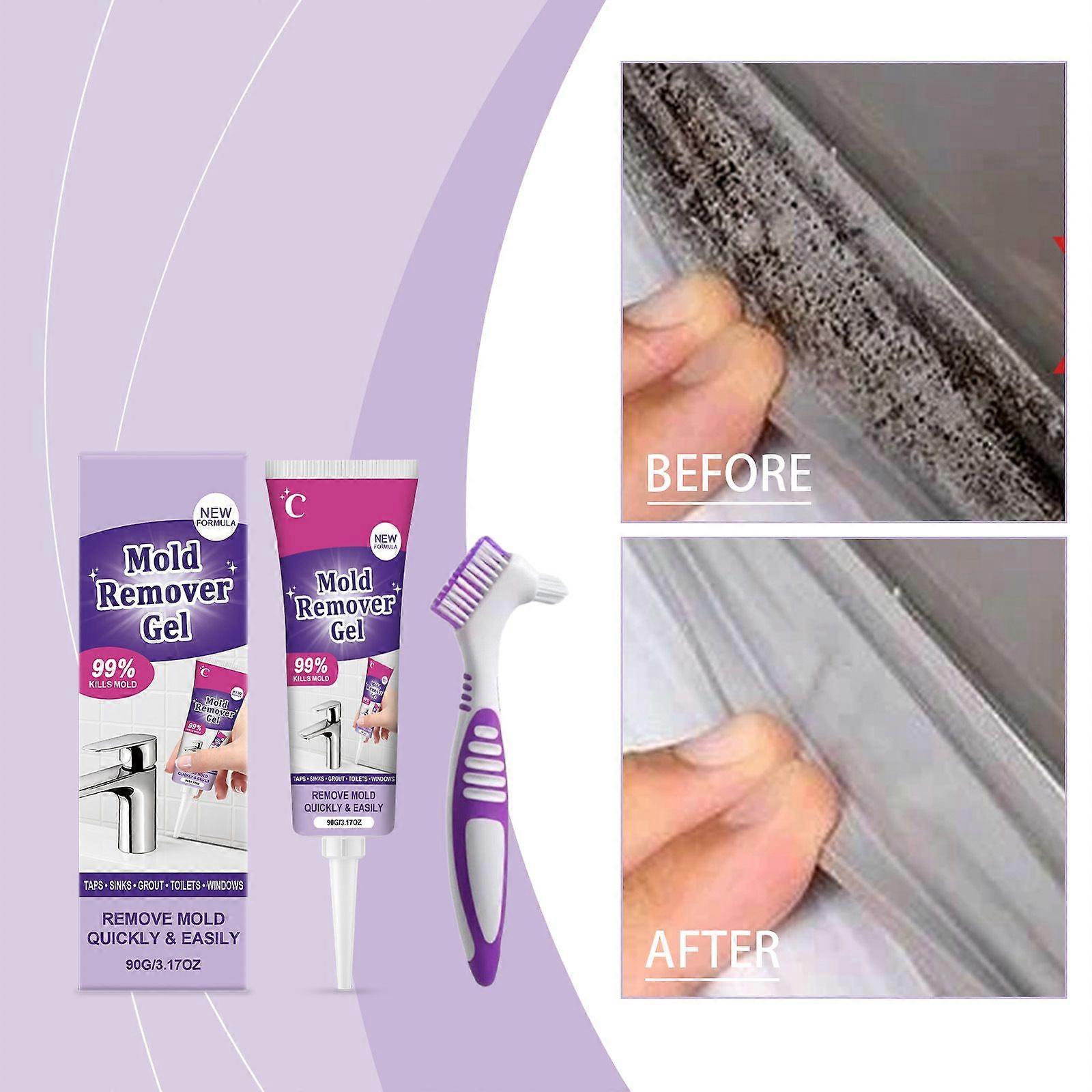 Mold Remover Gel with Brush (90g)