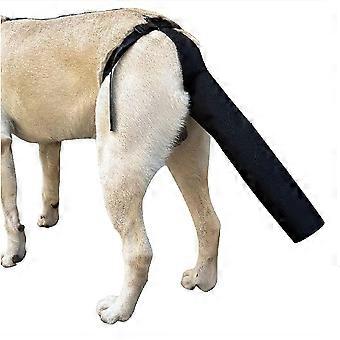 Hundsvansskydd Hundsvansskydd Hundsvansskydd för sår Hundsele med svansskydd Hundsvansskyddshylsa Storlek L