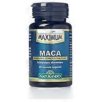 Maximum maca 40 vegetable capsules