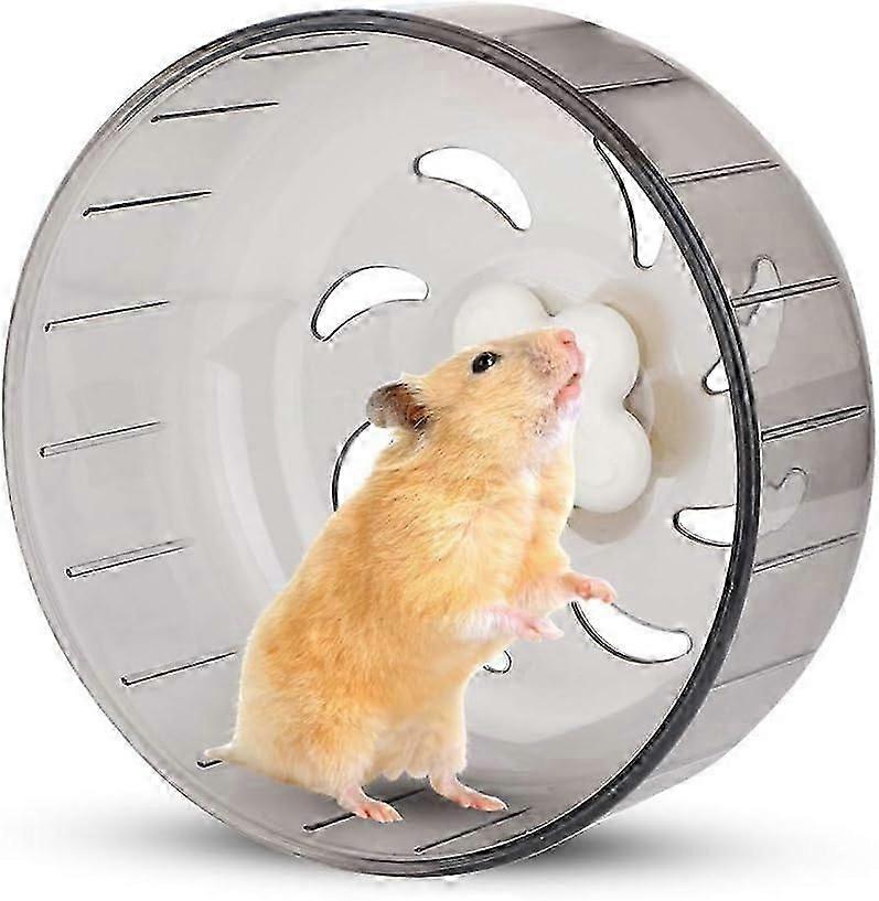 Hamster Exercise Wheel, Silent Spinner