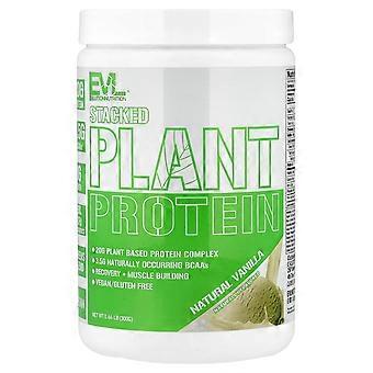 EVLution Nutrition, Stacked Plant Protein, Natürliche Vanille, 0,66 lb (300 g)