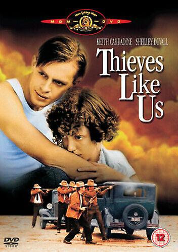 Thieves Like Us DVD (2005) Keith Carradine Altman (DIR) cert 15 - Region 2
