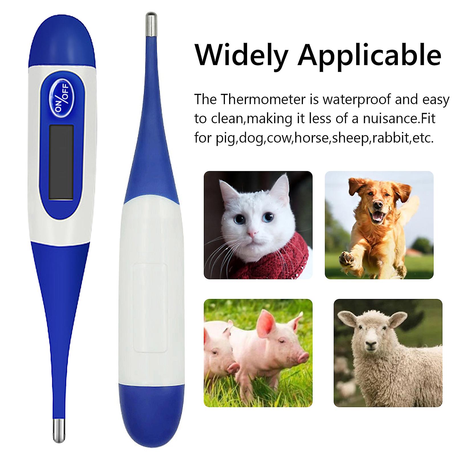 Animal Thermometer Digital Led Display Thermometer Fast Reading