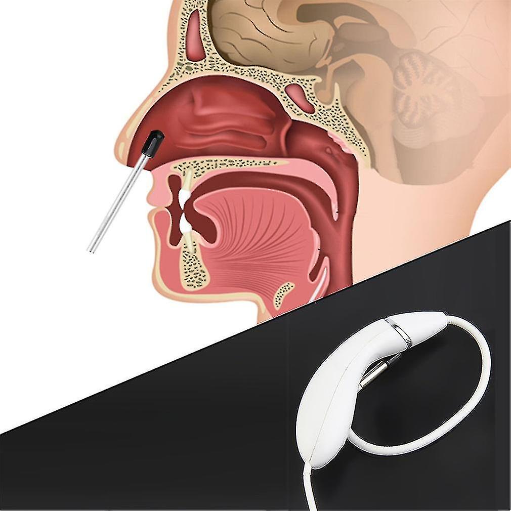 Practical 6 Led Waterproof Medical Dental Intraoral Camera Endoscope Borescope