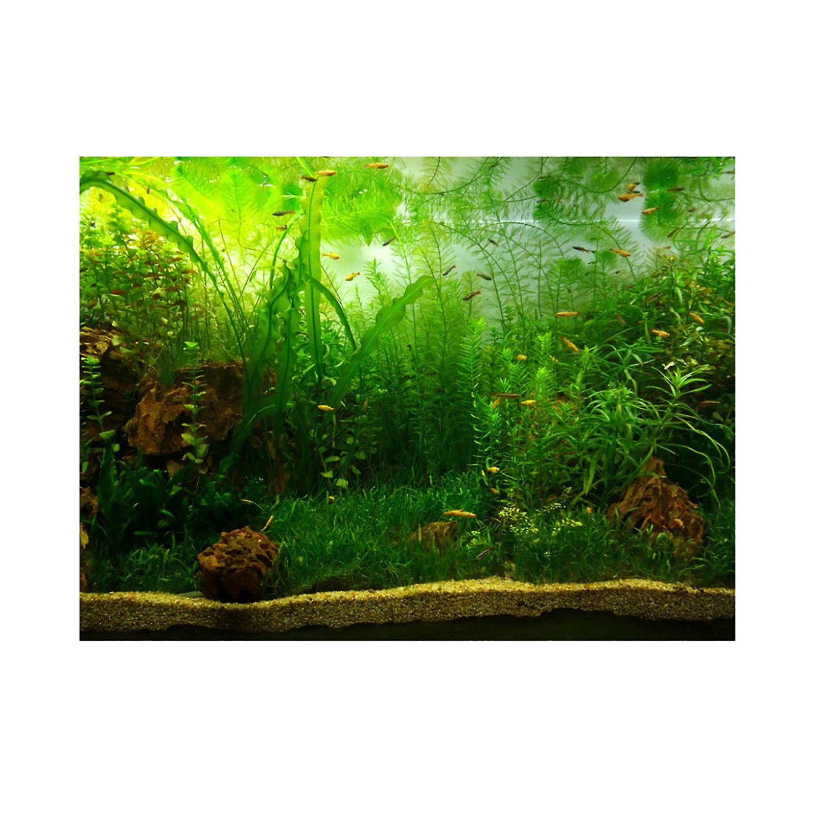 Decorative PVC adhesive paper for aquarium (122 x 50 cm)