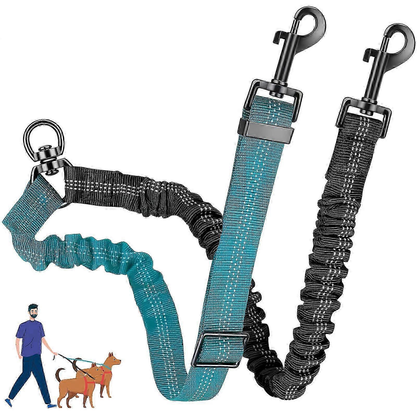 Double Dog Leash for Training Two Dogs