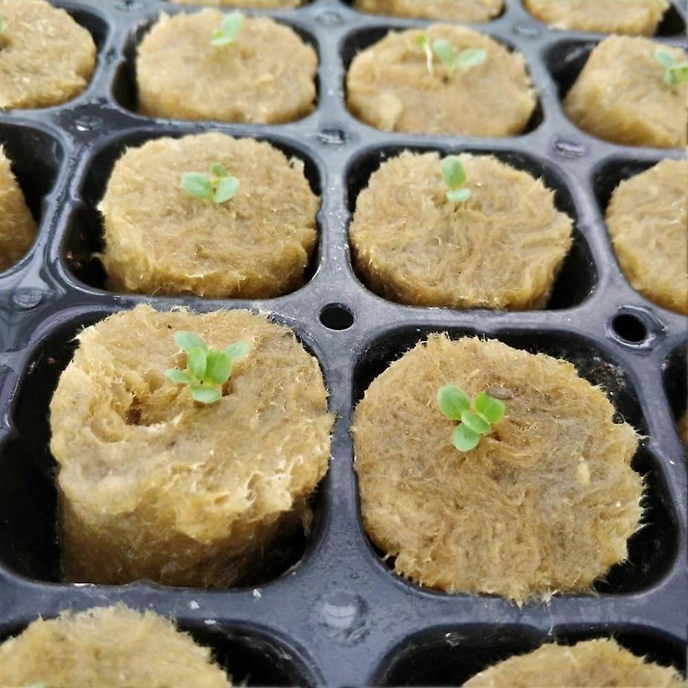 Hydroponic Grow Cubes 50pcs Compressed Media for  Root Oxygenation and Fast Water Absorption