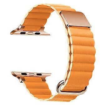 Watch Strap for Apple Watch Series 11 10 42mm/9 8 7 41mm/SE3 SE2 SE 6 5 4 40mm/3 2 1 38mm Magnetic W