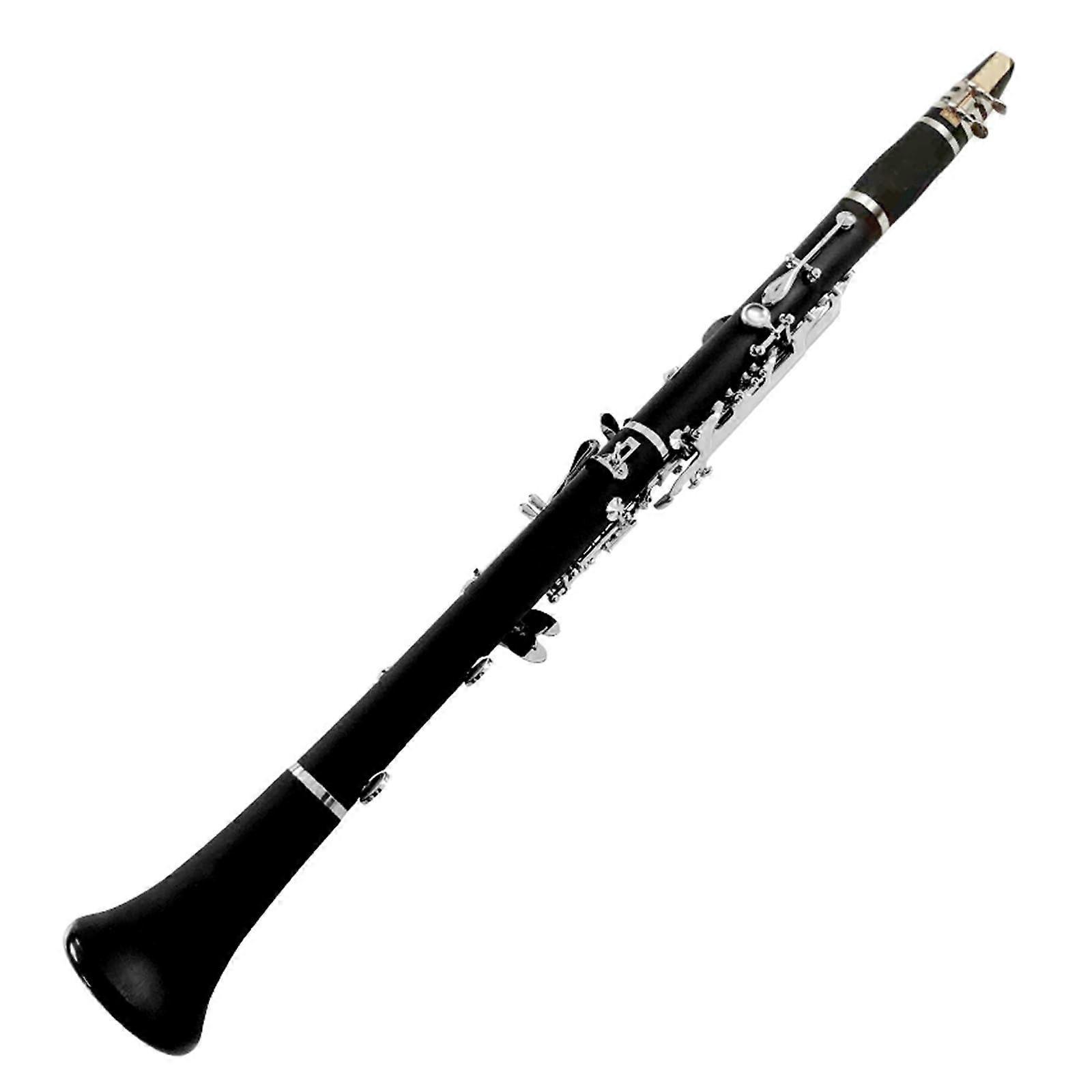 B Flat Clarinet for Beginners with 17 Keys, Detachable Design and Clear Focused Tone