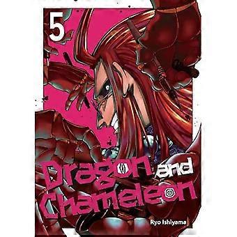 Drache und Chamäleon 05