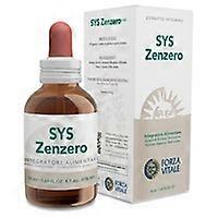 Sys ginger digestive function 50 ml
