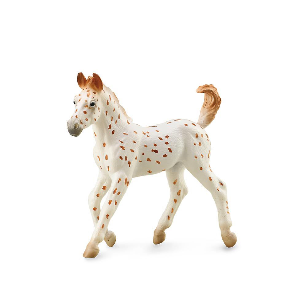 CollectA Knabstrupper Foal - Leopard Spotted