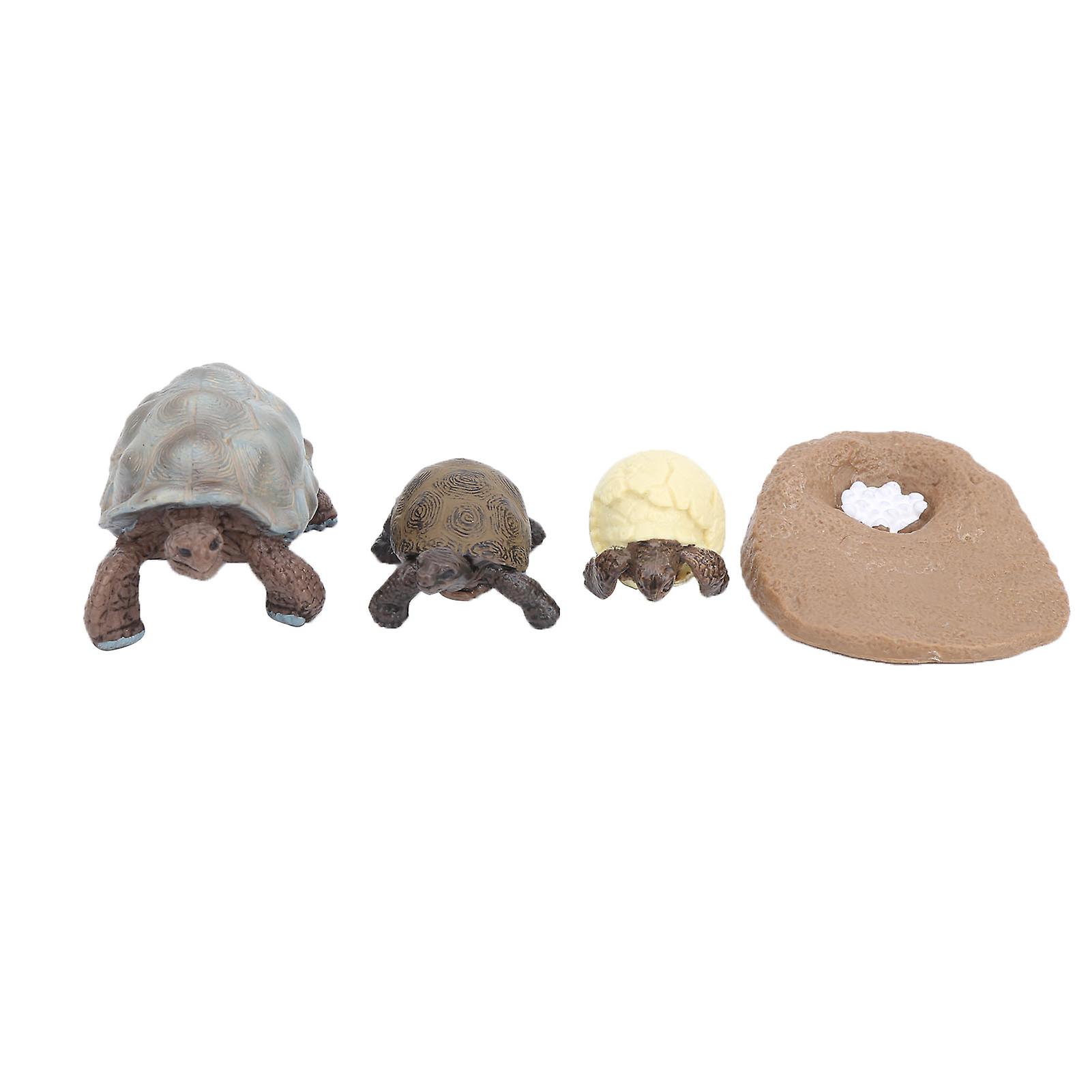 Kids' Science Toy: Simulated Marine Life Cycle Learning Model