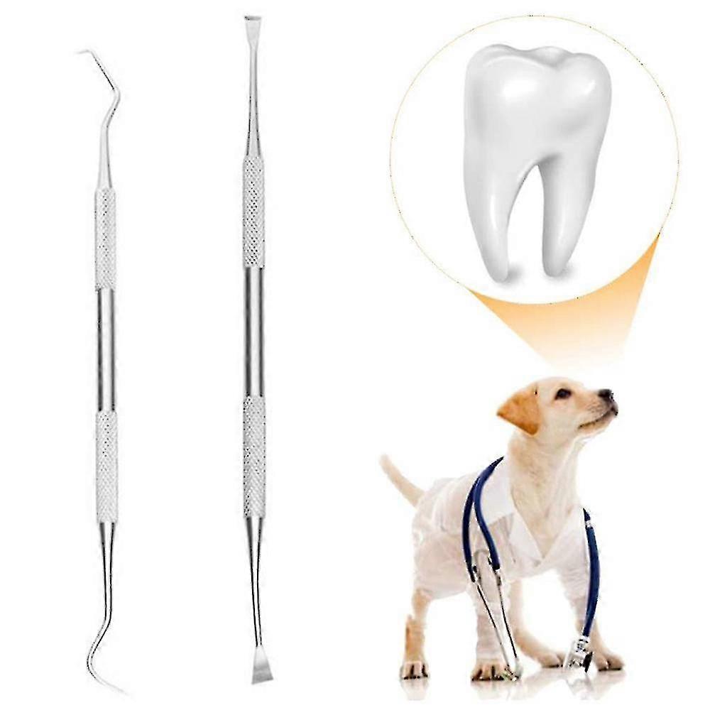 Professional Dental Tools, Dog Dental Tooth Scaler And Scraper 2 Pack-