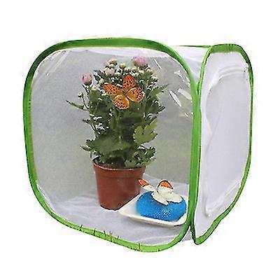 Foldable Insect Cage, Three Sizes