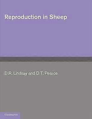 Reproduction in Sheep