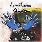 Vibracathedral Orchestra Tuning to the Rooster CD