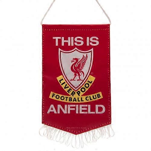 Liverpool FC This Is Anfield Mini Pennant