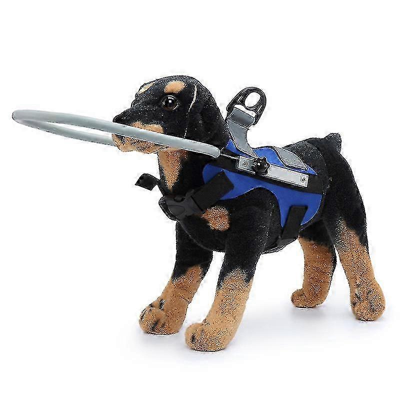 Blind Dog Safety Guide Harness for Visually Impaired Dogs, Accident Prevention & Confidence Building Navigation Aid