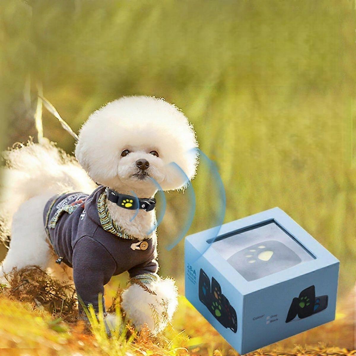 Smart Gps Cat And Dog Collar Tracker -HK1114