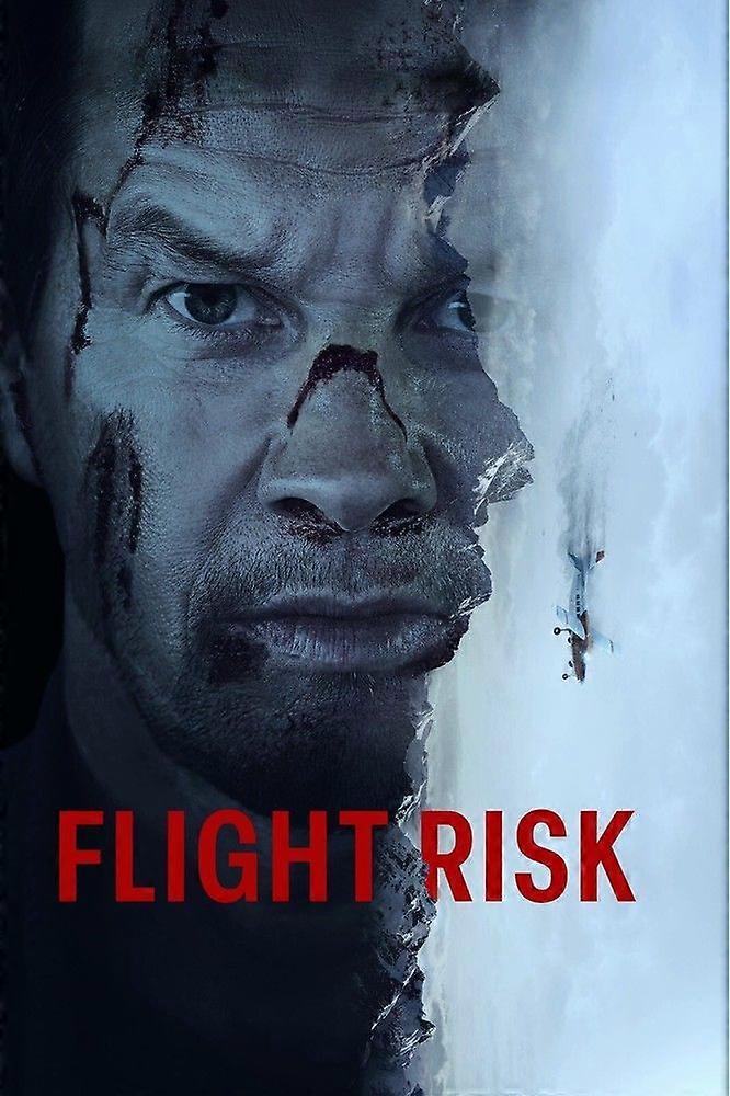 Flight Risk MovieJigsaw Puzzle Brain Teaser EB 3152