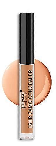 Liquid Concealer Full Coverage Waterproof LongLasting Hydrating Wand for Dark Circles 106#