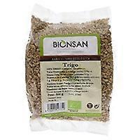 Wheat in Organic Grain 500 g