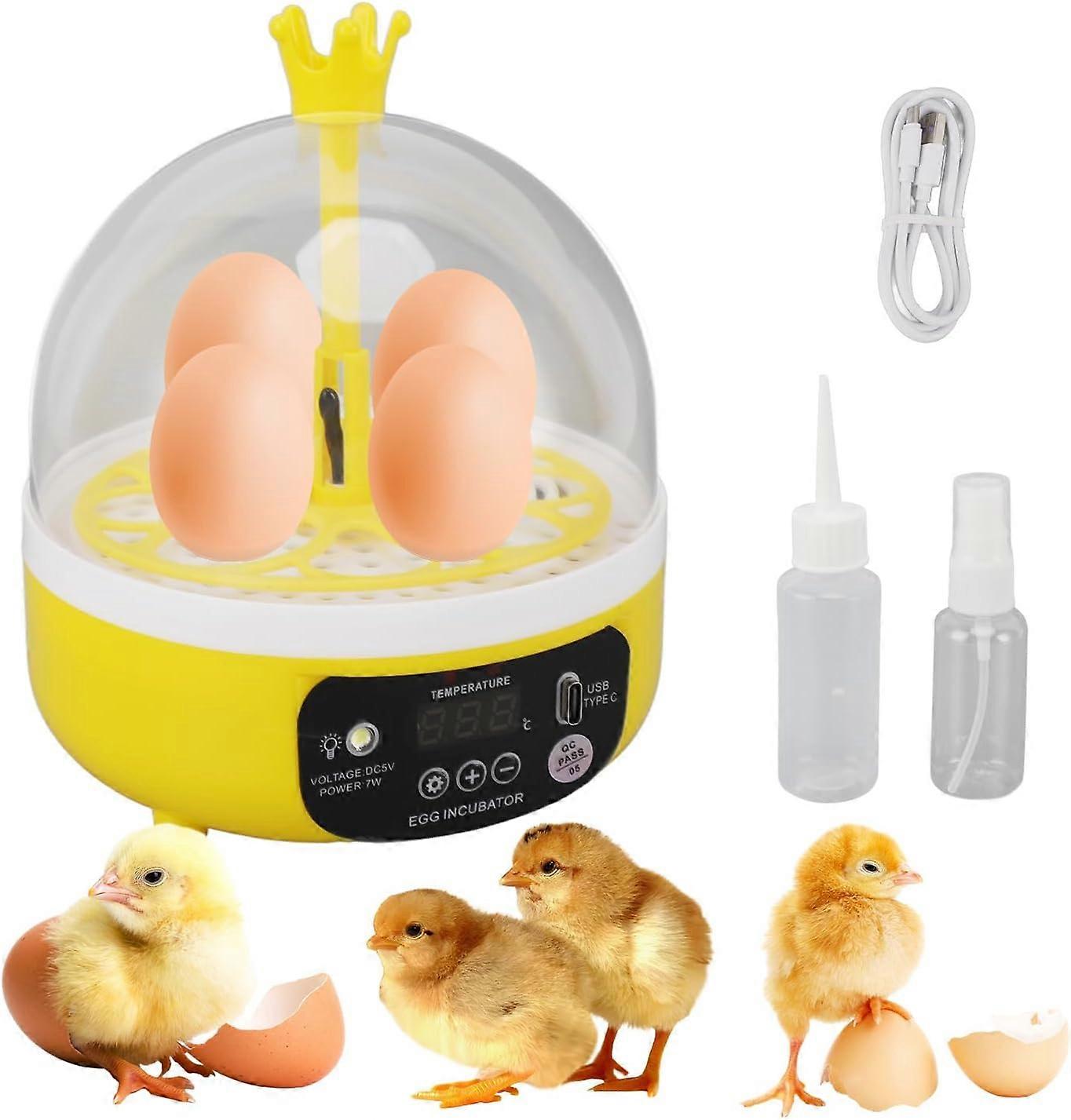 Mini Egg Incubator Auto Temp Humidity Control 4 Eggs