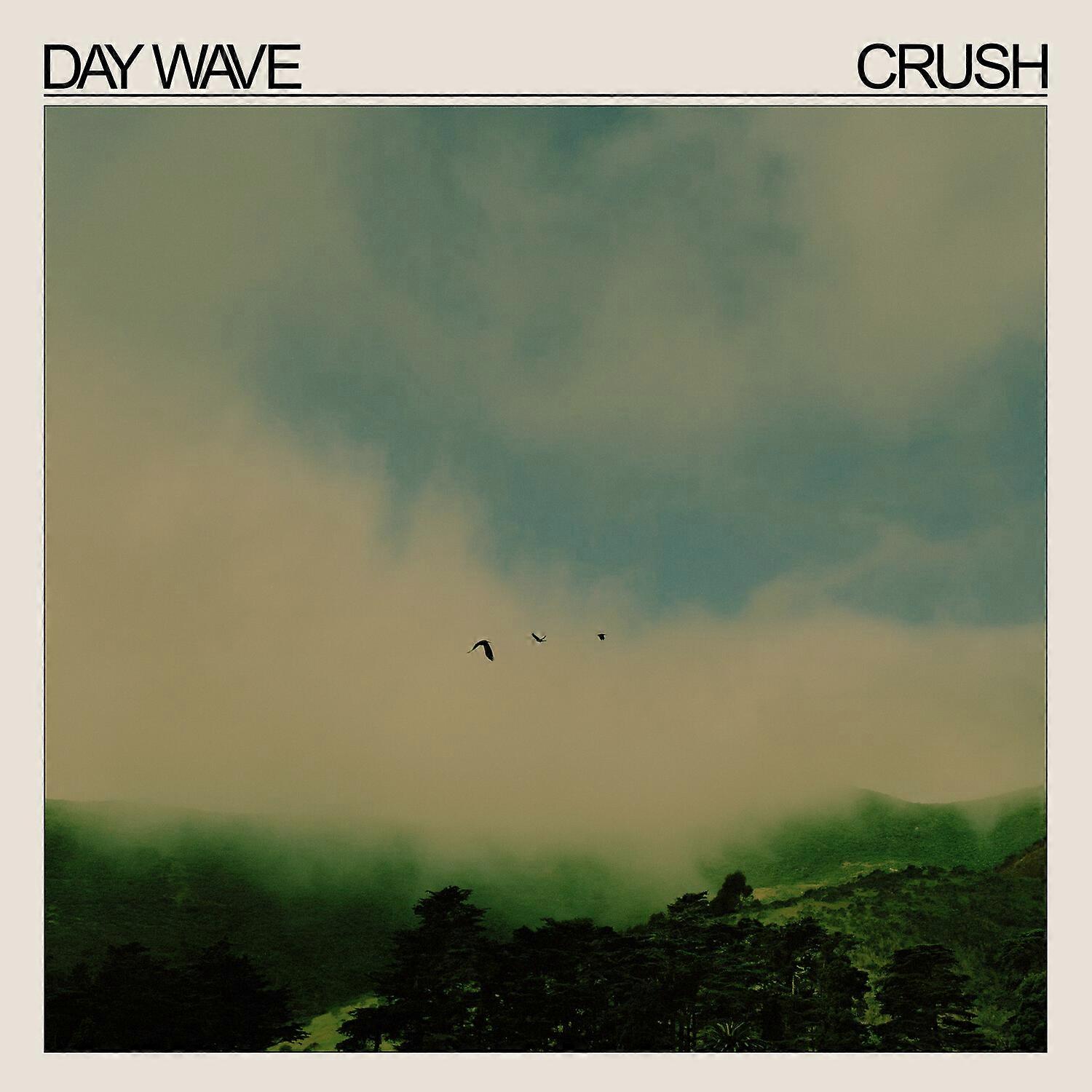Day Wave - Crush  [VINYL LP] USA import