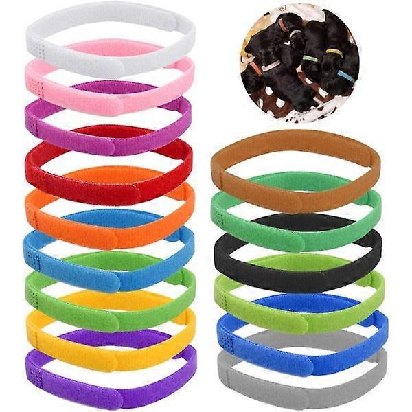 15 pcs different colors puppy kitten identification collar