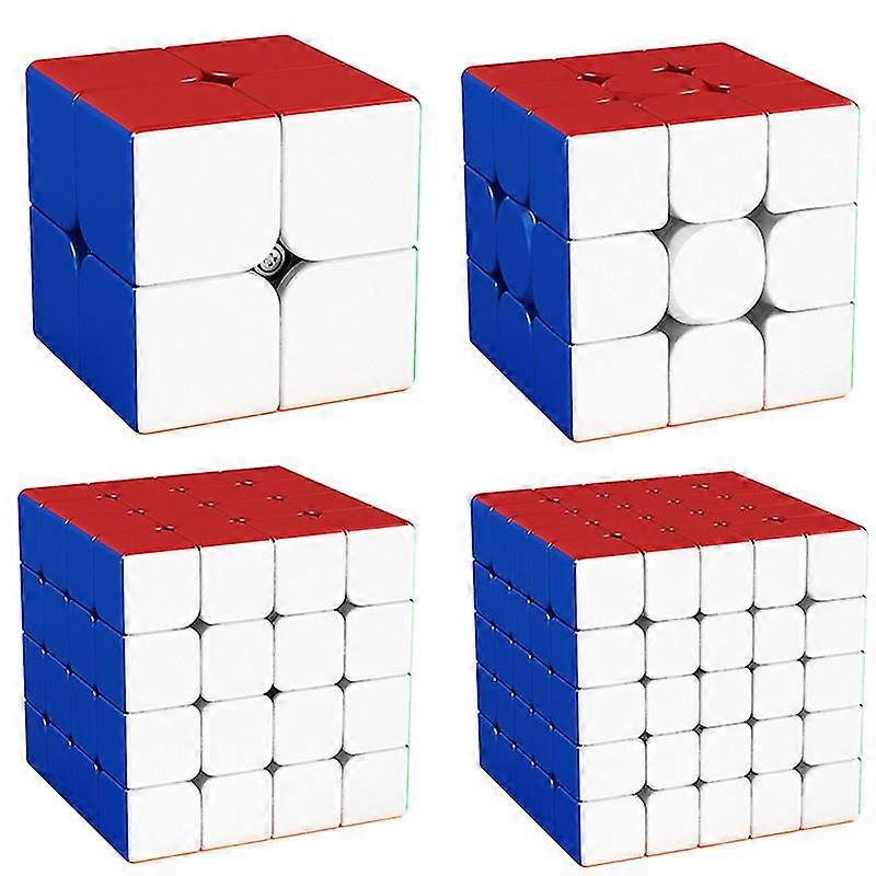 Τάξη Moyu Cubing Meilong 3m 2m 4m 5m 5m 2x2 3x3 4x4 5x5 μαγνητικό cub