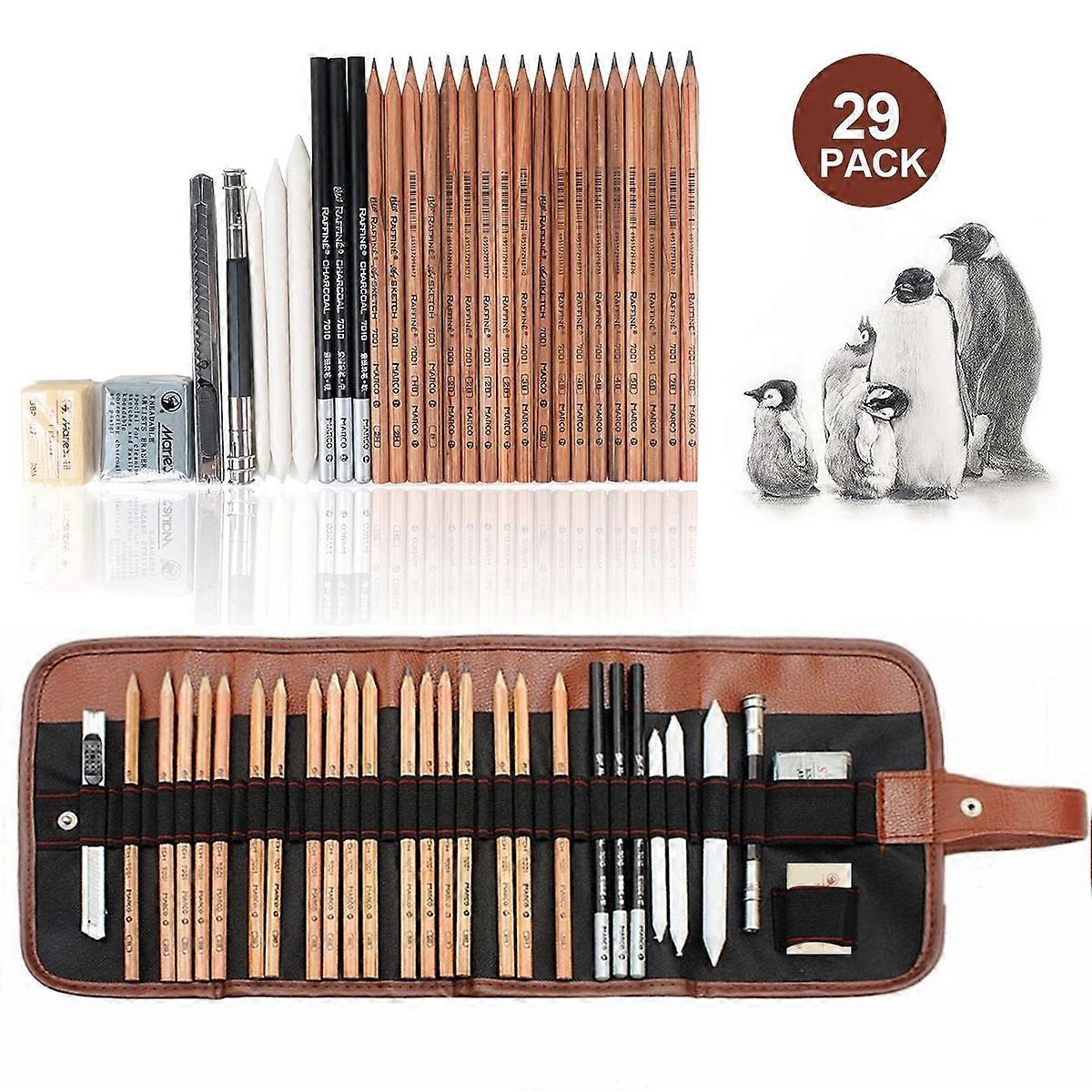 Drawing Pencils, 29 pcs Artist Drawing Case Set with Sketch Pencils, Charcoal Pencils, Graphite Pencil, Eraser, Extender Knife in Case