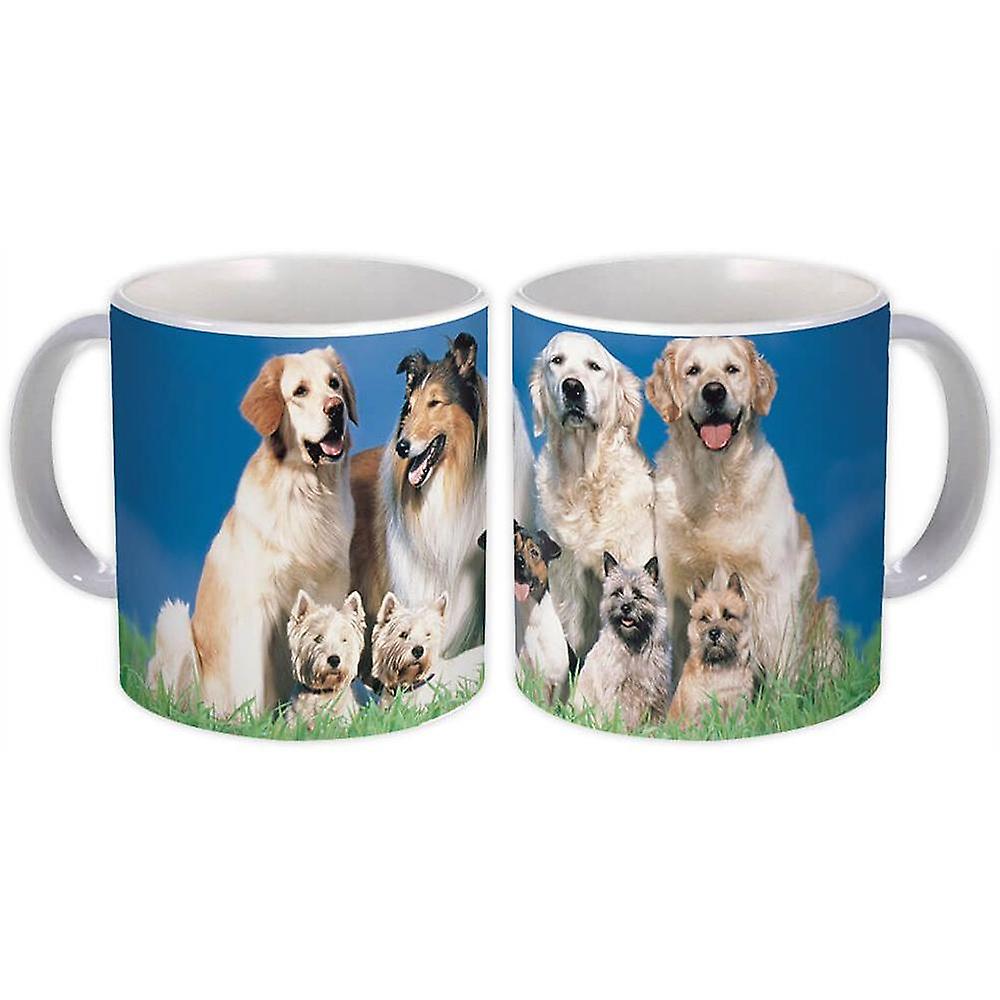 Caneca de Presente: Collie e outros cães cachorro