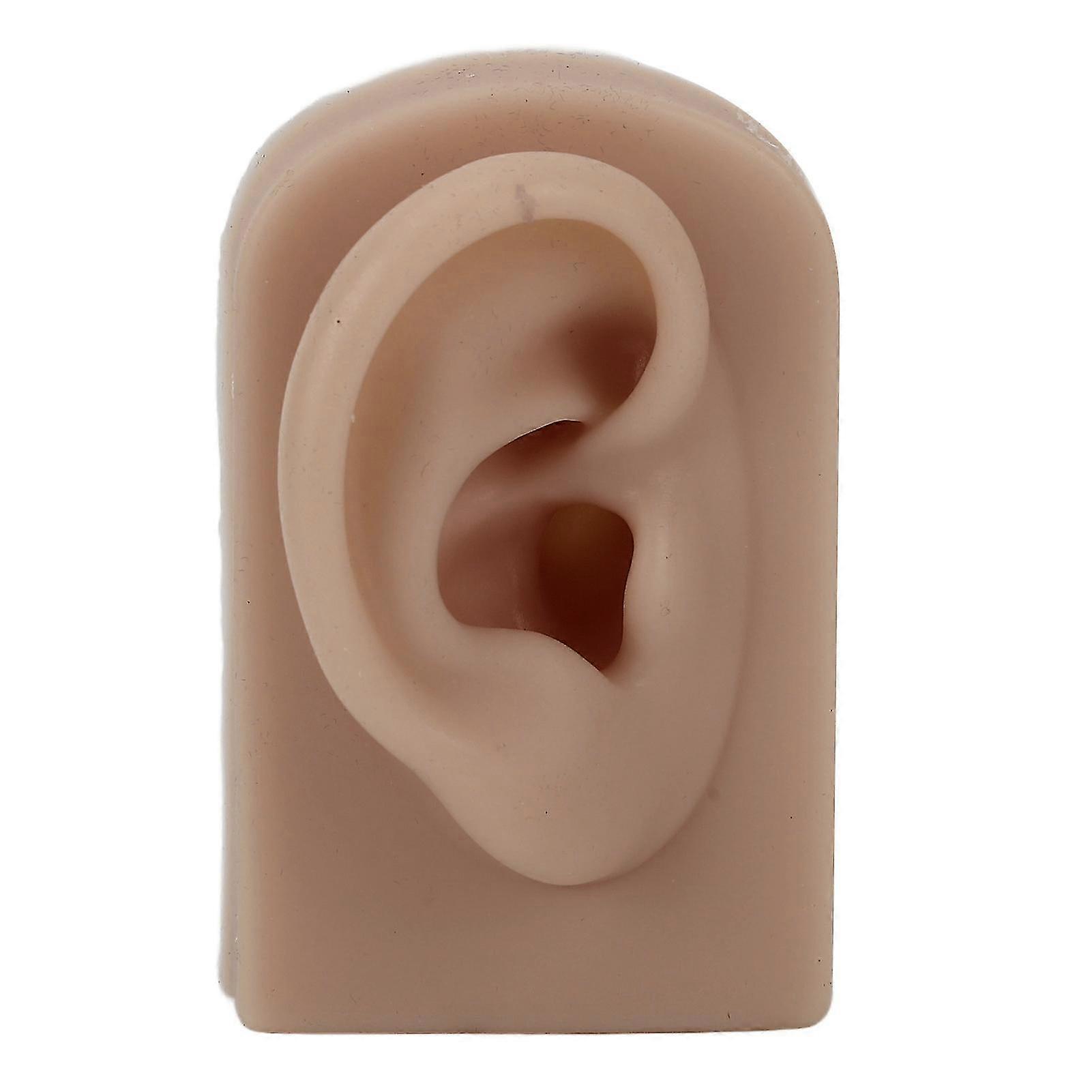 Silicone Ear Model for Piercing Training and Earring Display Soft Flexible Right Ear Reusable Brown