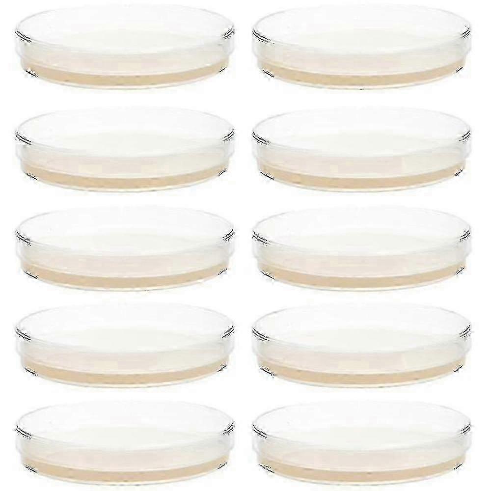 10pcs Prepoured Agar Plates Petri Dishes With Agar Science Experiment Supplies