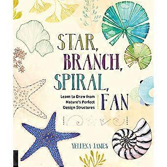 Star Branch Spiral Fan Learn to Draw from Natures Perfect Design Structures