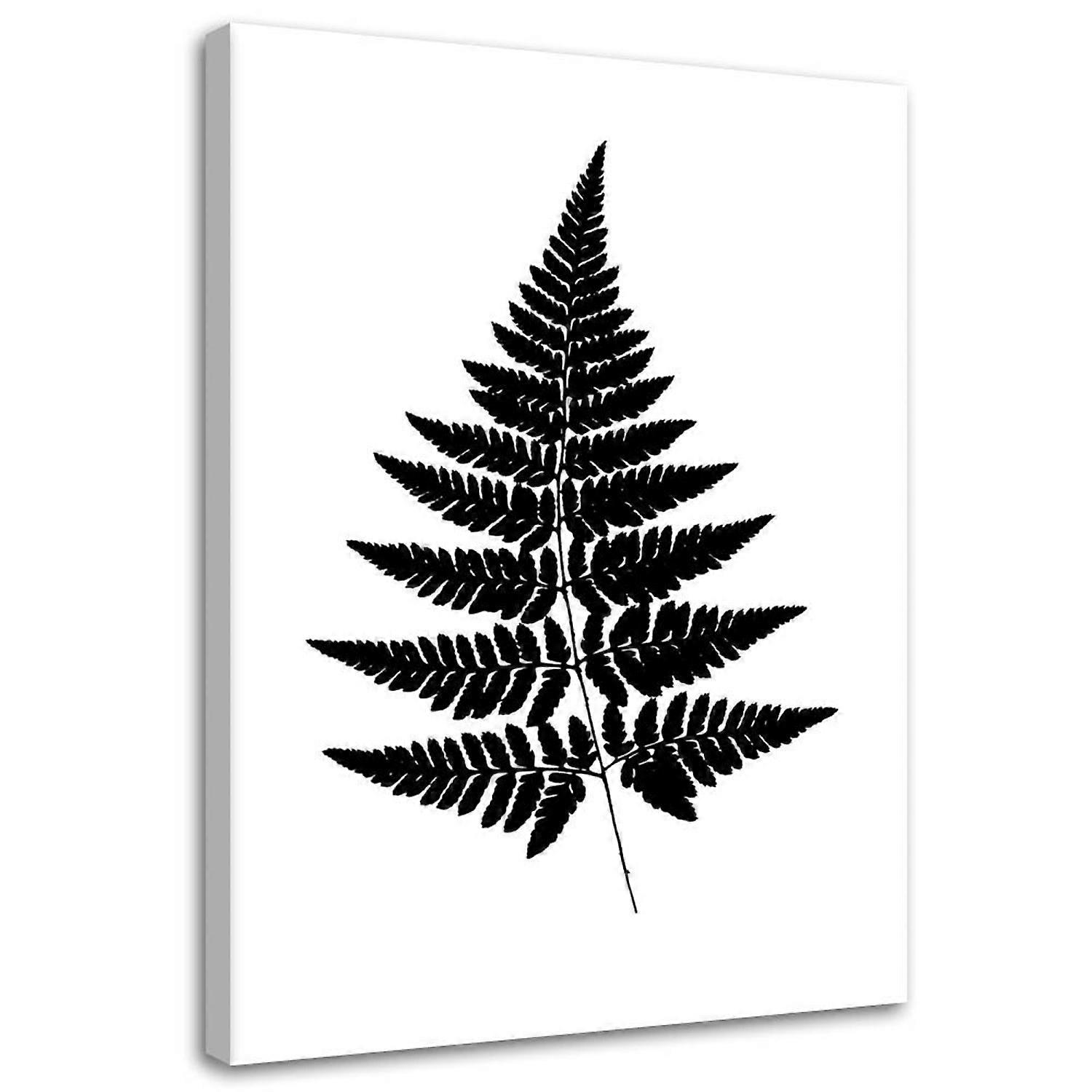 Leinwandbild, Farnblatt - 70x100