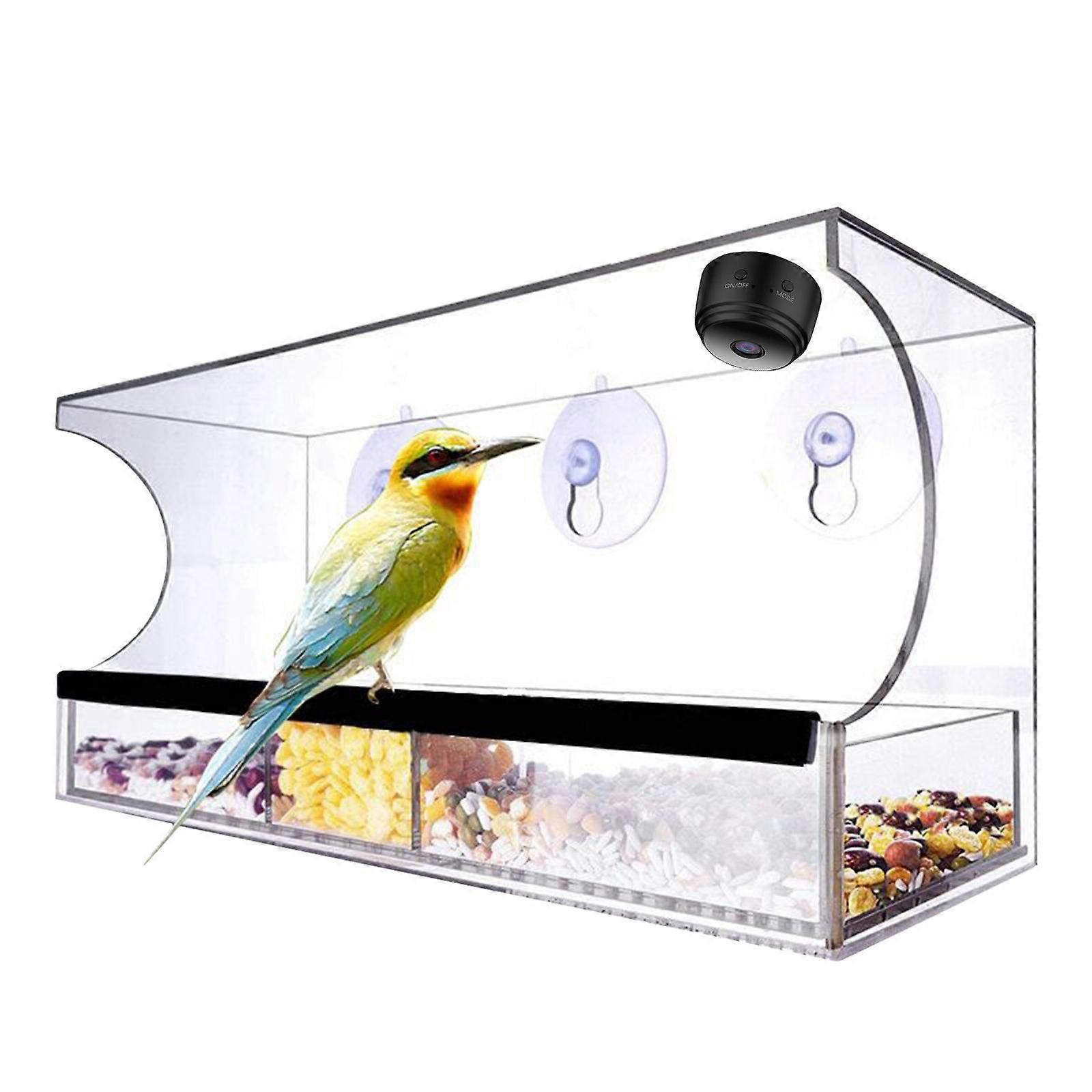 Window Bird Feeders With Strong Suction Cups, Clear Window Bird Feeder Multifunctional