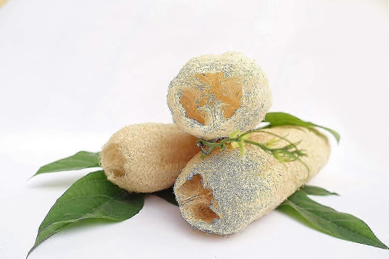 Eco-Friendly Natural Loofah Sponge for Bath, Kitchen & Baby - Versatile