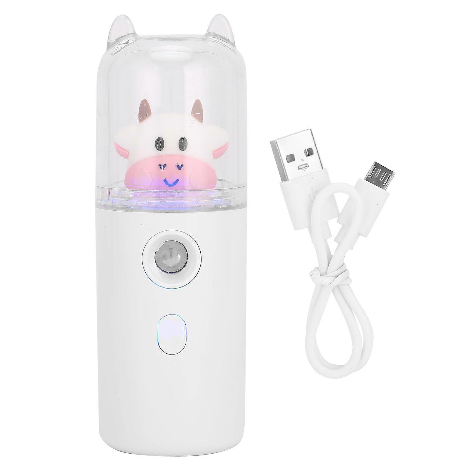 Pulvérisateur de brume hydratant pour le visage, rechargeable par USB, 30 ml