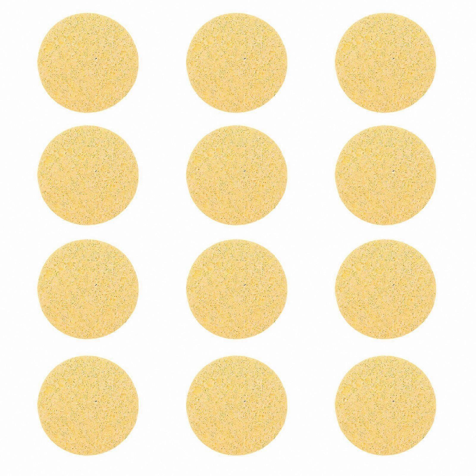 12-Pack Sponges for Humidity and Hydration, Ideal for Small Pets and Reptiles, Multi-Use Cleaning and Drinking Solution