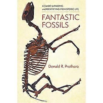 Fantastiset fossiilit: Opas esihistoriallisen elämän löytämiseen ja tunnistamiseen