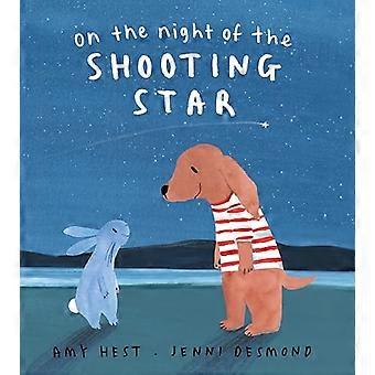 In der Nacht von der Shooting Star