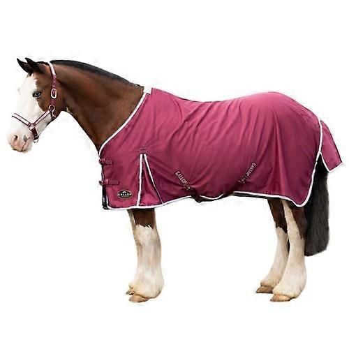 Gallop Standard-Neck Horse Summer Sheet