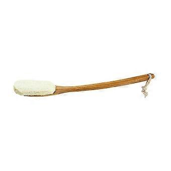 Brosse de bain en calebasse de soie, outil de bain loofah avec long manche, 1 pièce