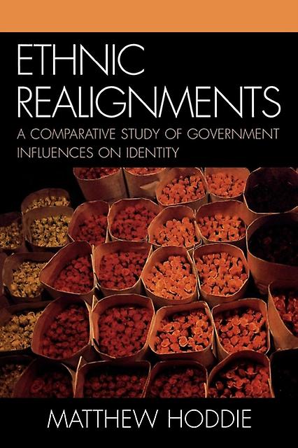 Ethnic Realignment by Matthew Hoddie Paperback Book