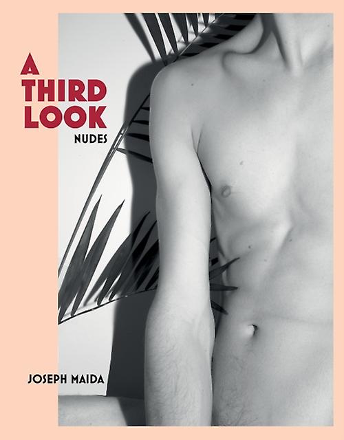 A Third Look by Joseph Maida Hardback Book