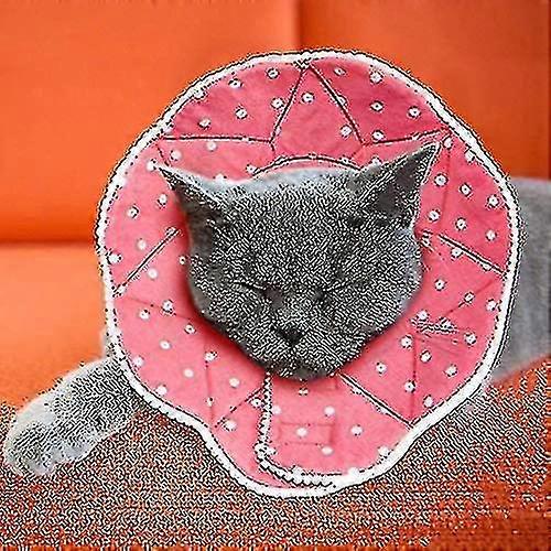 Comfortable Post-Surgery For Cats And Dogs, Robust, Waterproof, Resistant To Scratches And Bites, Easy To Clean, With Adjustable Collar Attachment For