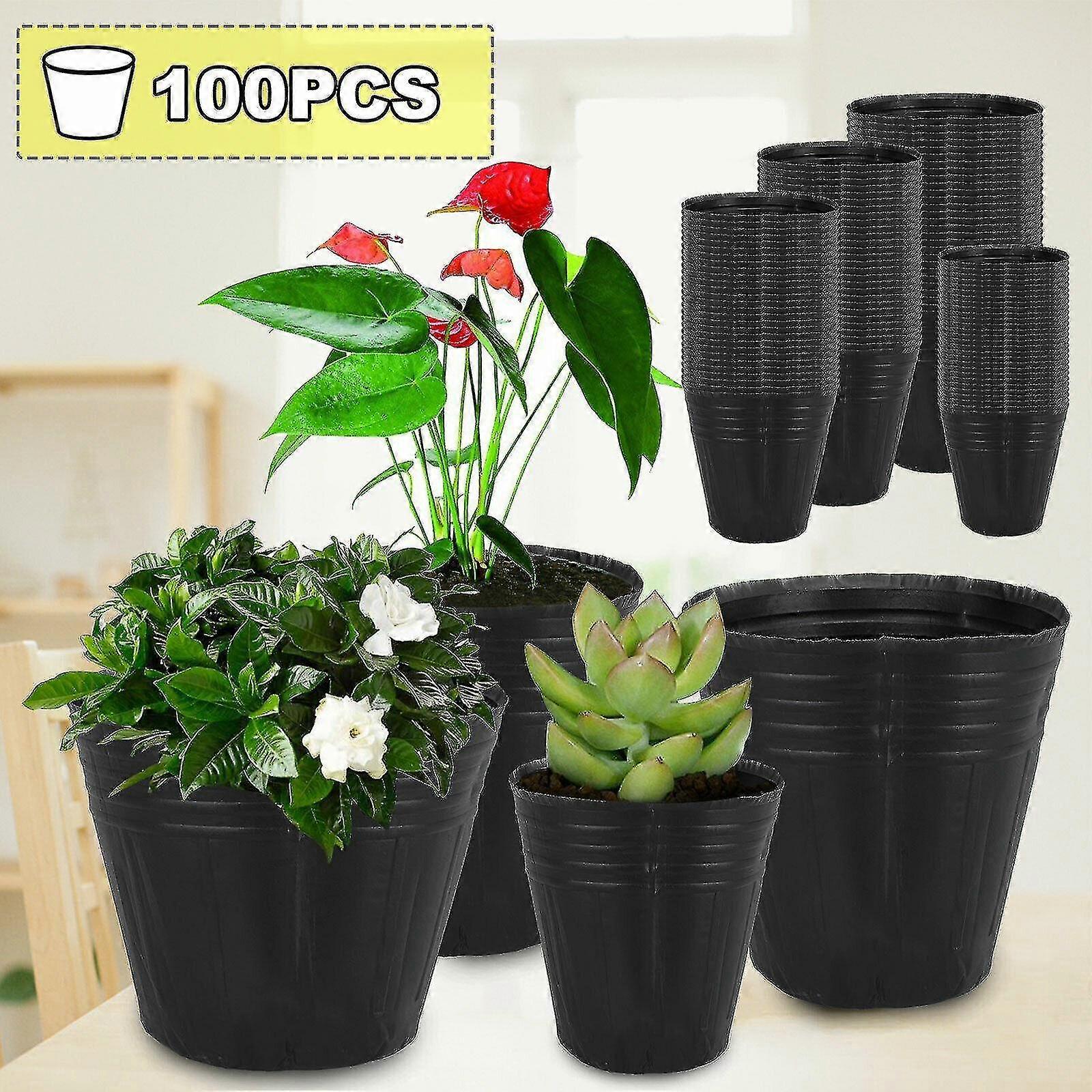 seedling Pots